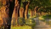 竞彩足球比分投注-理性与风险并存，竞彩足球比分投注全解析